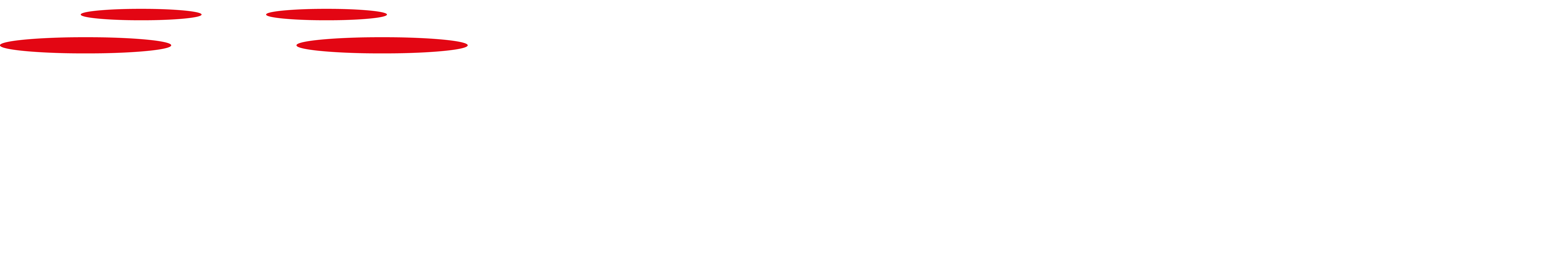 mosquito.flights Logo